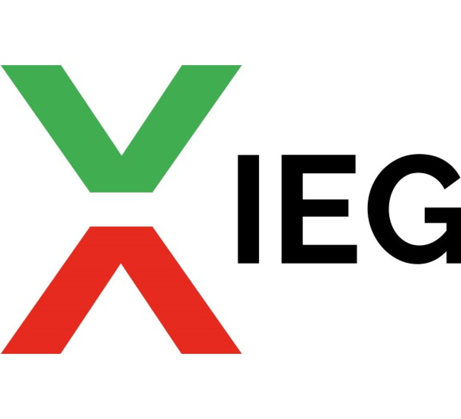 Logo ITALIAN EXHIBITION GROUP SPA